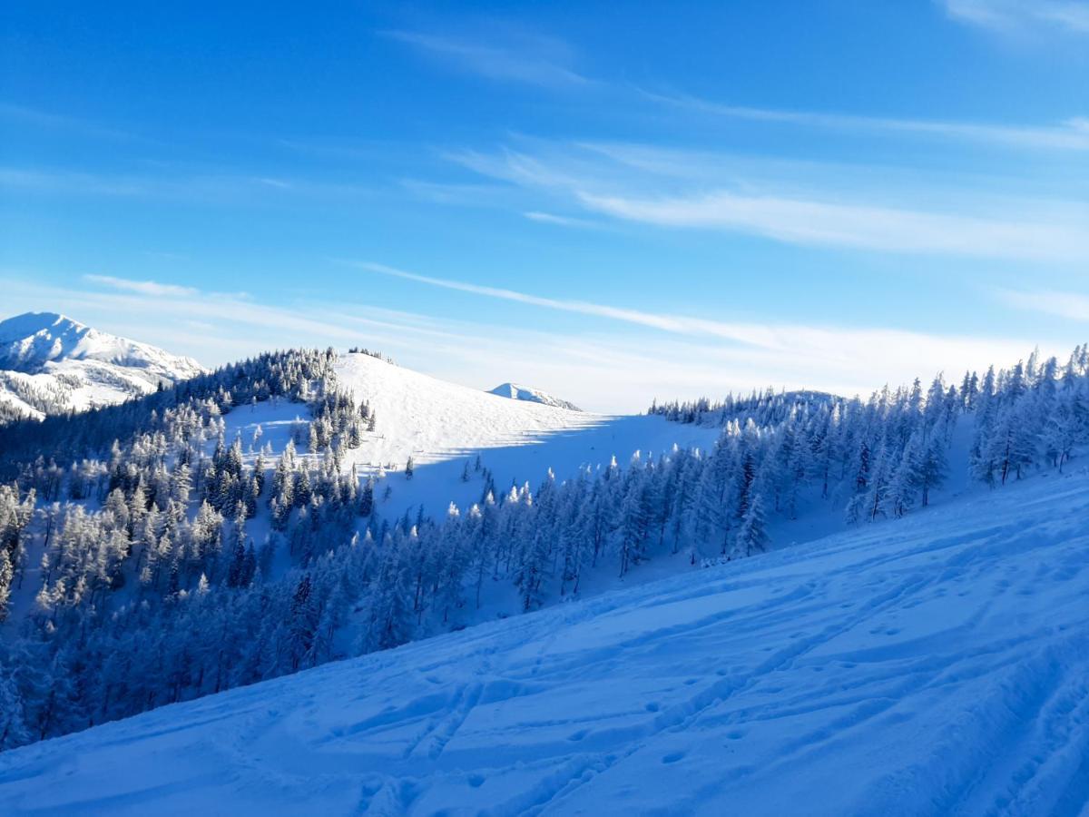 Romantiksuite Bei Seitberger Frauenberg Екстер'єр фото